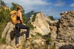 Zamberlan 333 Frida Gore-Tex Hiking Boots - Women's -Shoes Discount Store image 1971